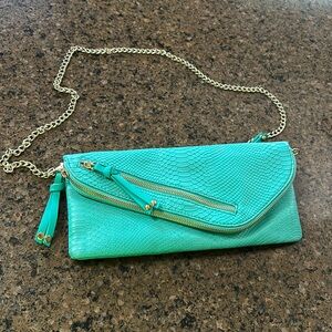 Francesca’s Collection Purse/Clutch.